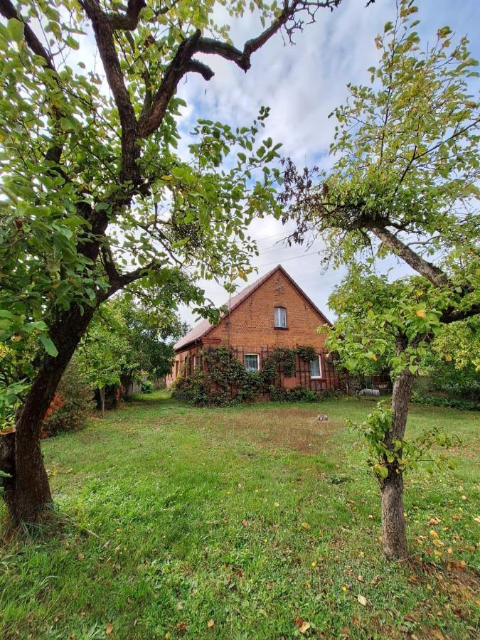 Domek Przy Maja Milicz Exterior foto